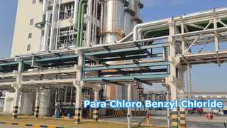 Paracloro benzile cloruro - Changzhou Xindong Chemical Industry Development Co., Ltd.
